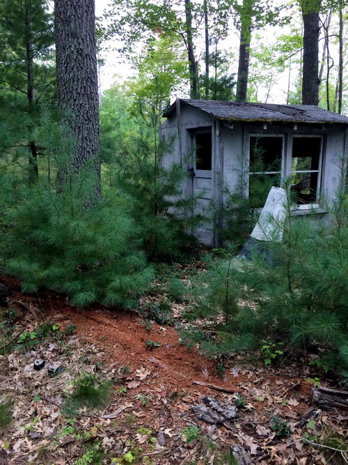 Mystery Ridge - From Jennifer On Facebook (newer photo)